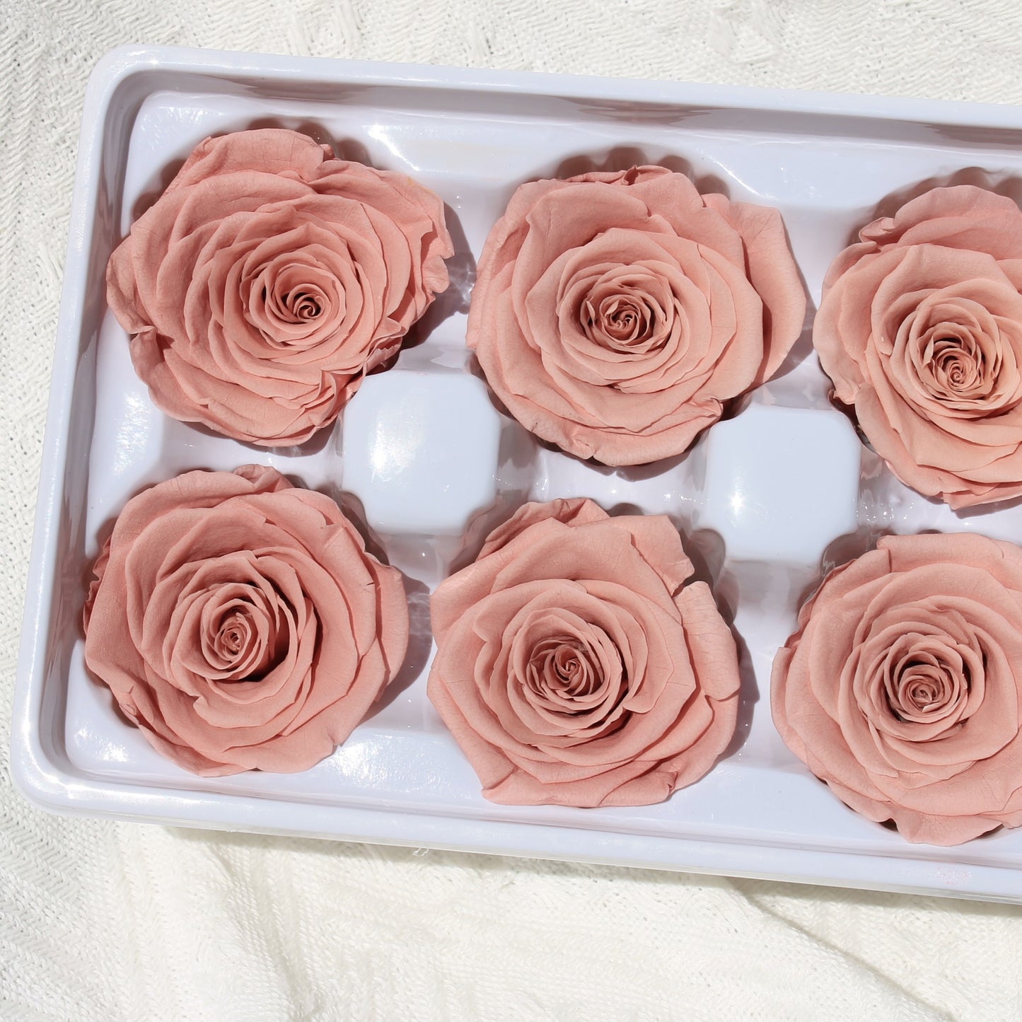 Preserved Roses Dusty Pink Dried Flower