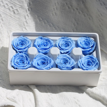 Preserved Roses Blue 8 heads Dried Flower