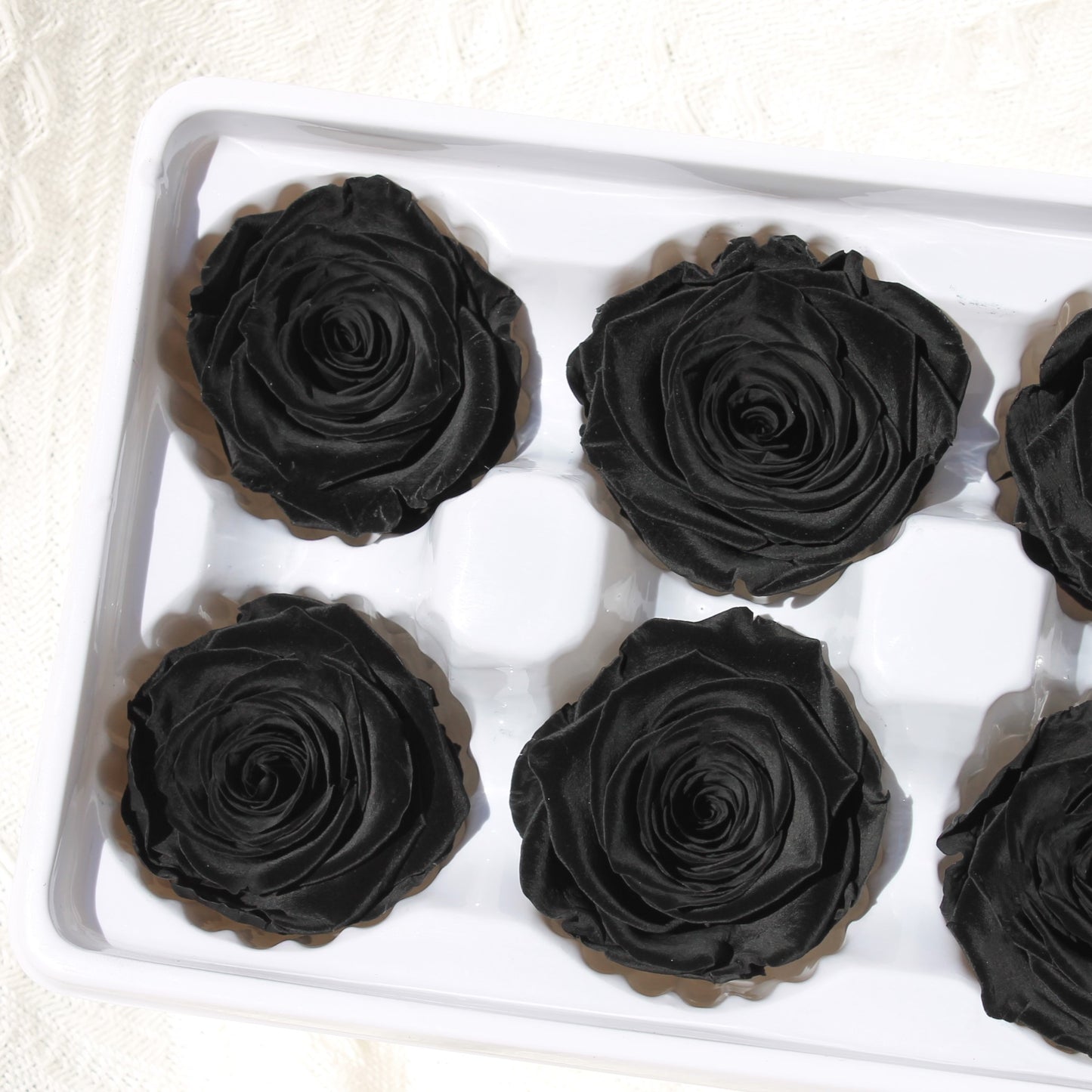 Preserved Roses Black