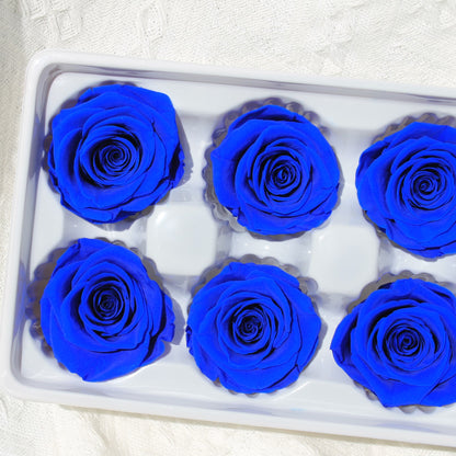 Preserved Rose Royal Blue