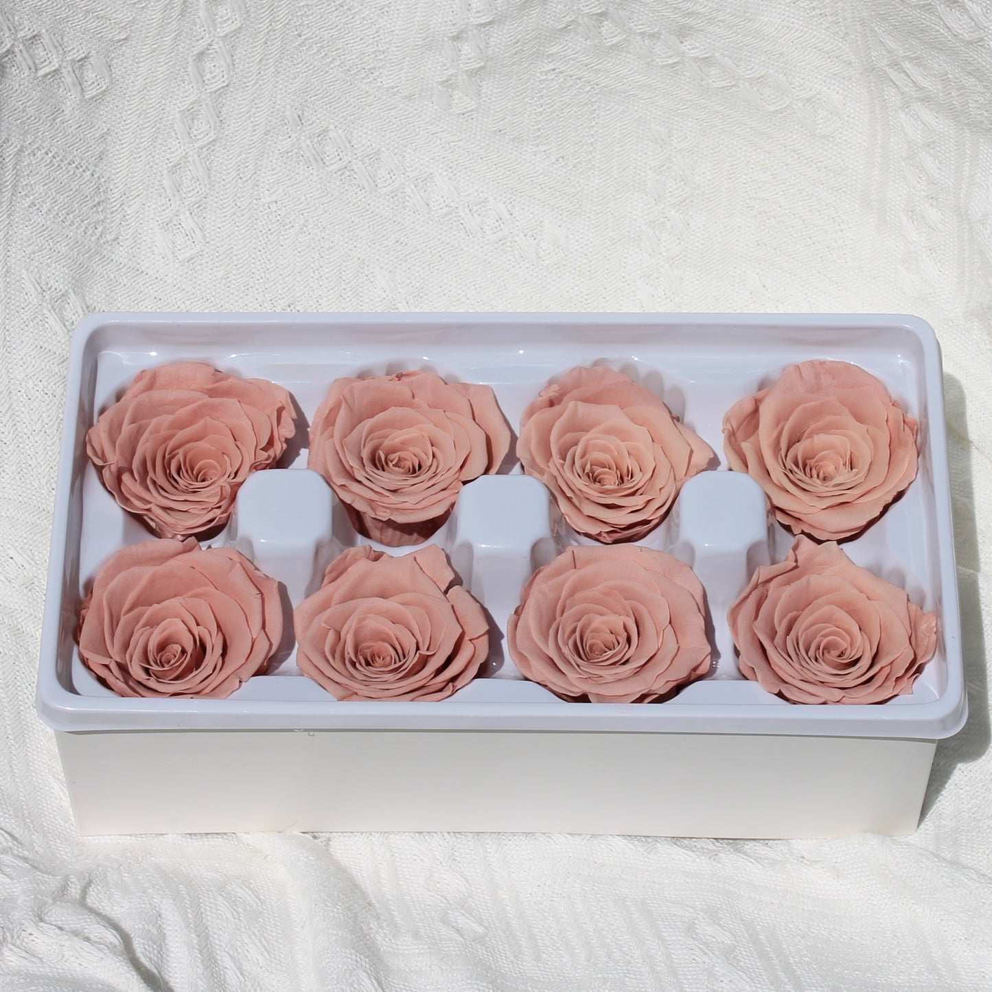 Preserved Roses Dusty Pink Dried Flower