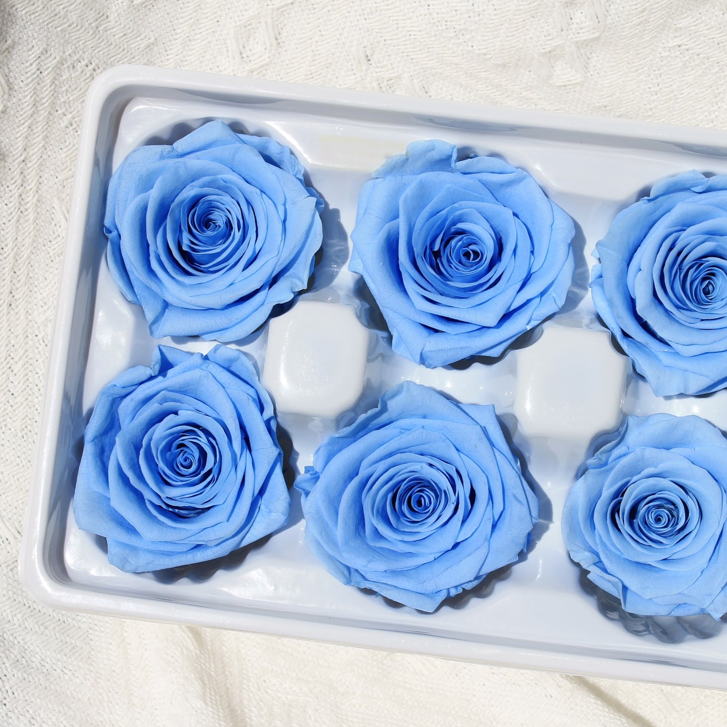 Preserved Roses Blue 8 heads Dried Flower