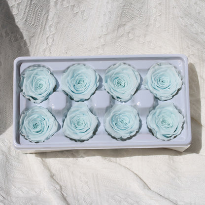 Preserved Rose Baby Blue