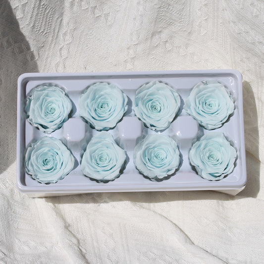 Preserved Rose Baby Blue