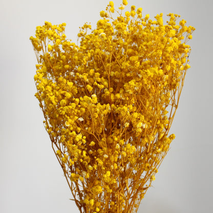 Baby's Breath Yellow Dried Flower