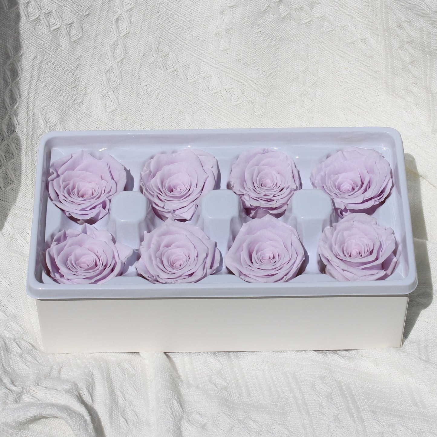 Preserved Rose Taro Purple