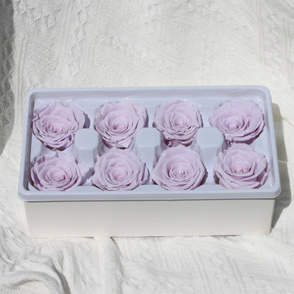 Preserved Rose Taro Purple