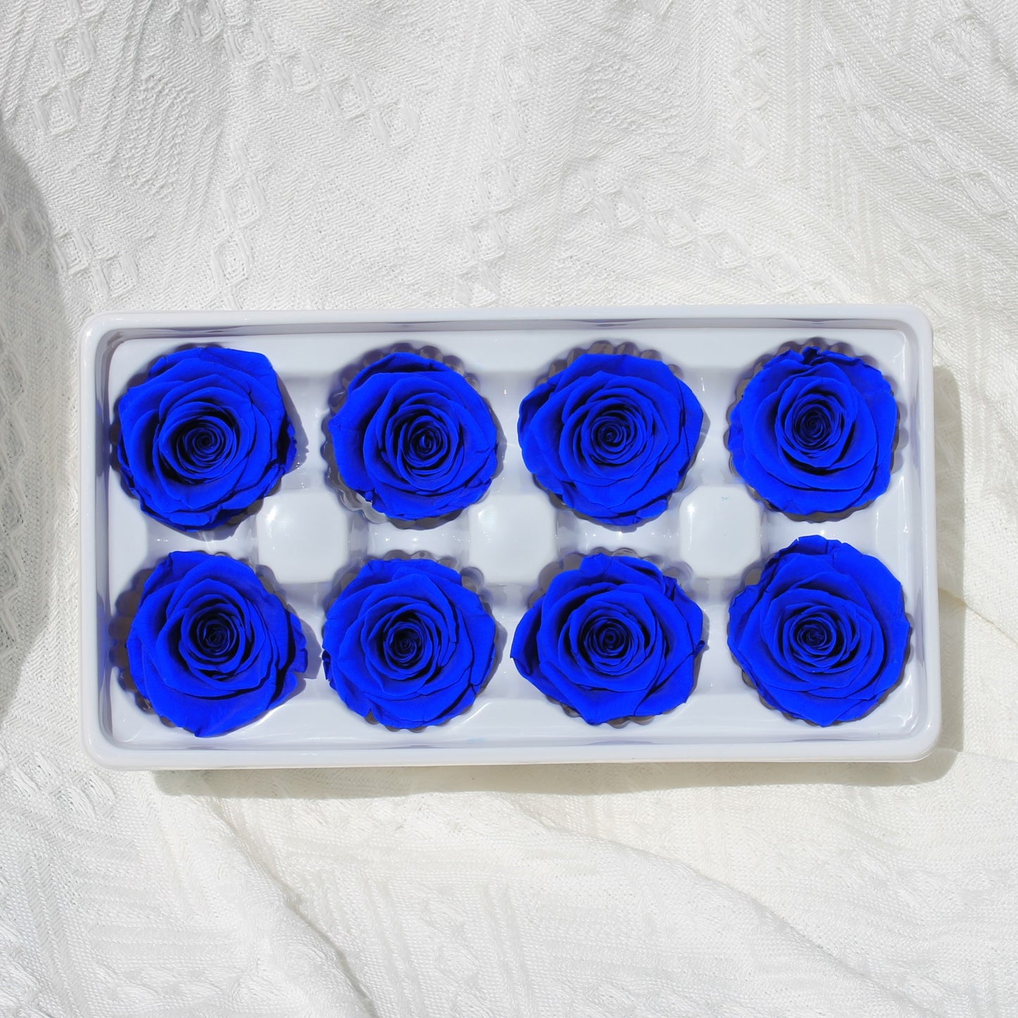 Preserved Rose Royal Blue