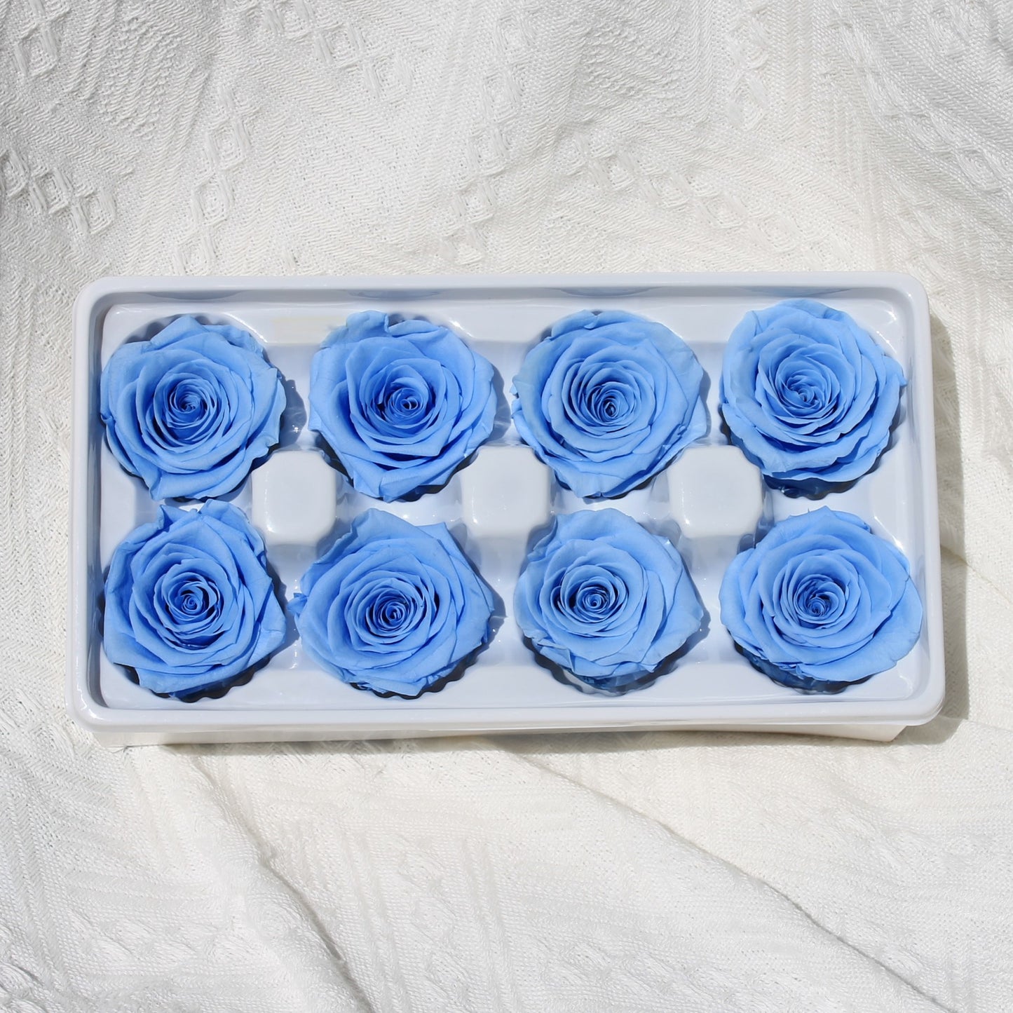 Preserved Roses Blue 8 heads Dried Flower