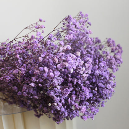 Baby's Breath Purple