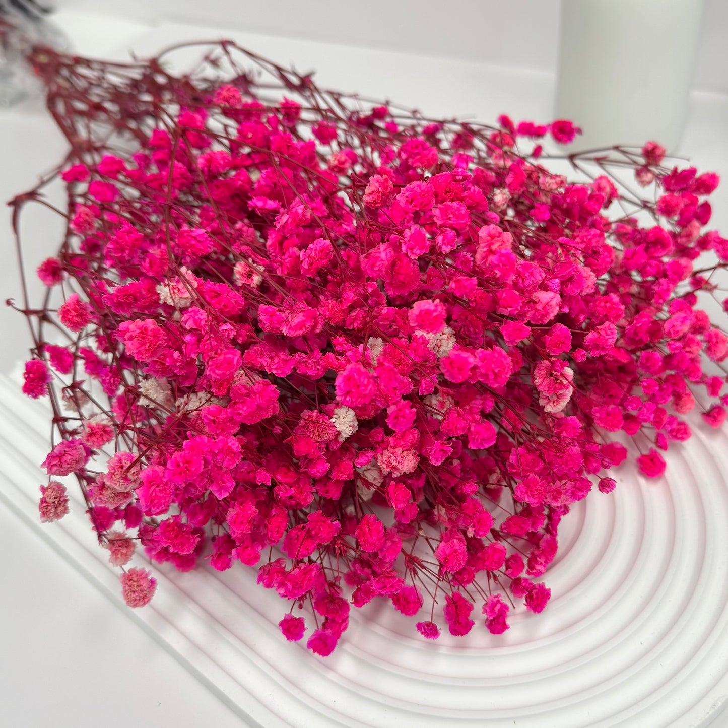 Preserved Baby's Breath