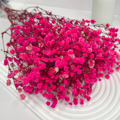 Preserved Baby's Breath
