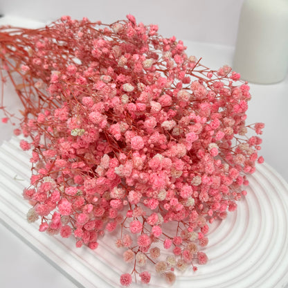 Preserved Baby's Breath