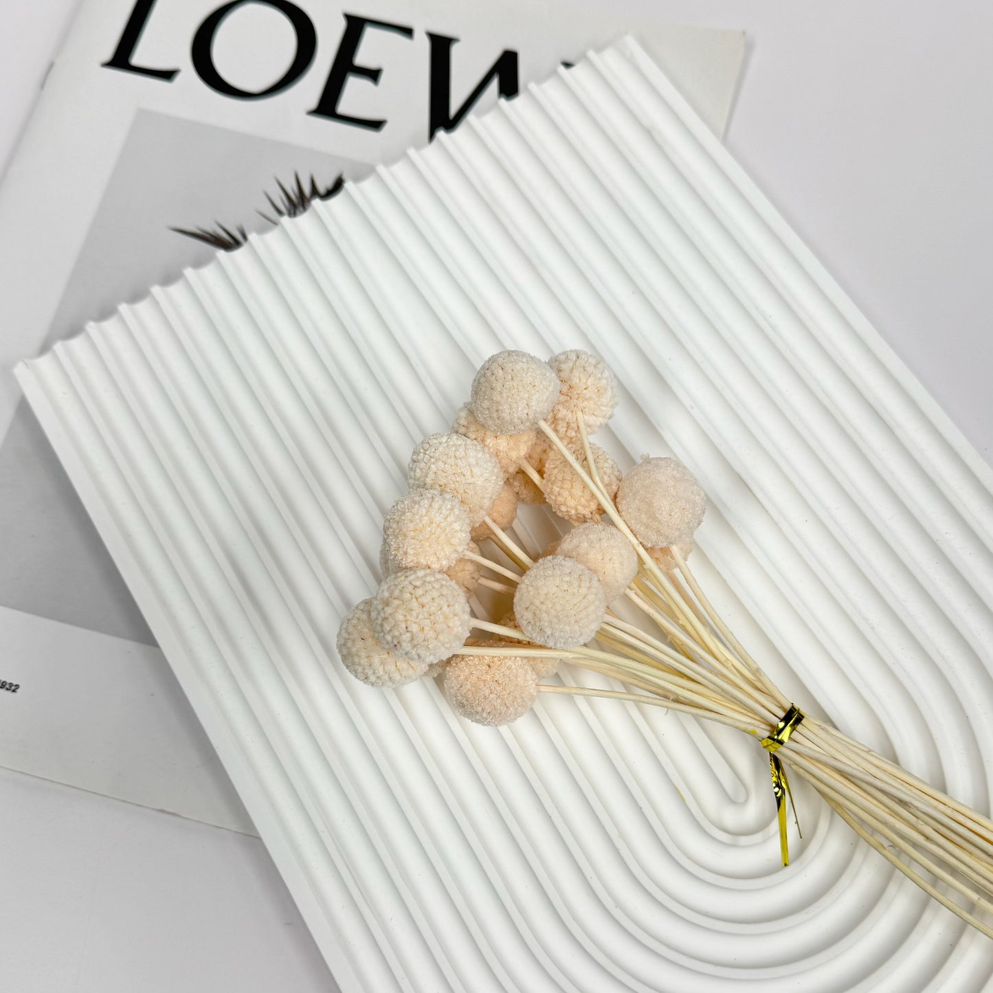 Preserved Billy Buttons