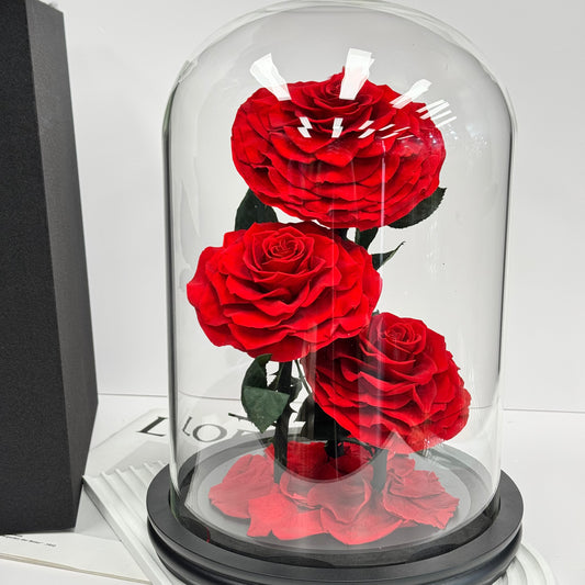 X-Large Triple Stem Rose Dome Red