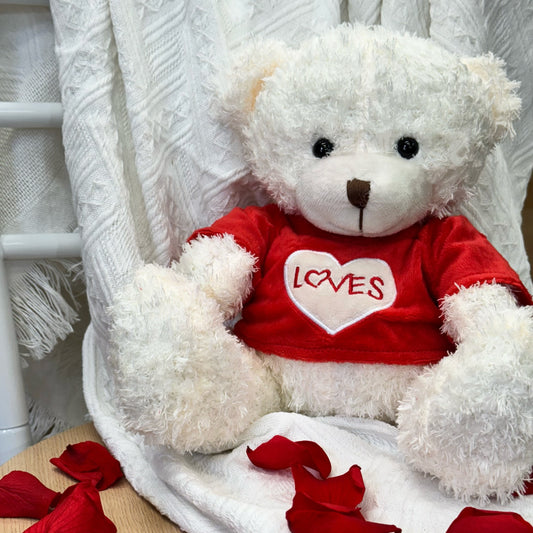 Loves Teddy Bear (25cmST)