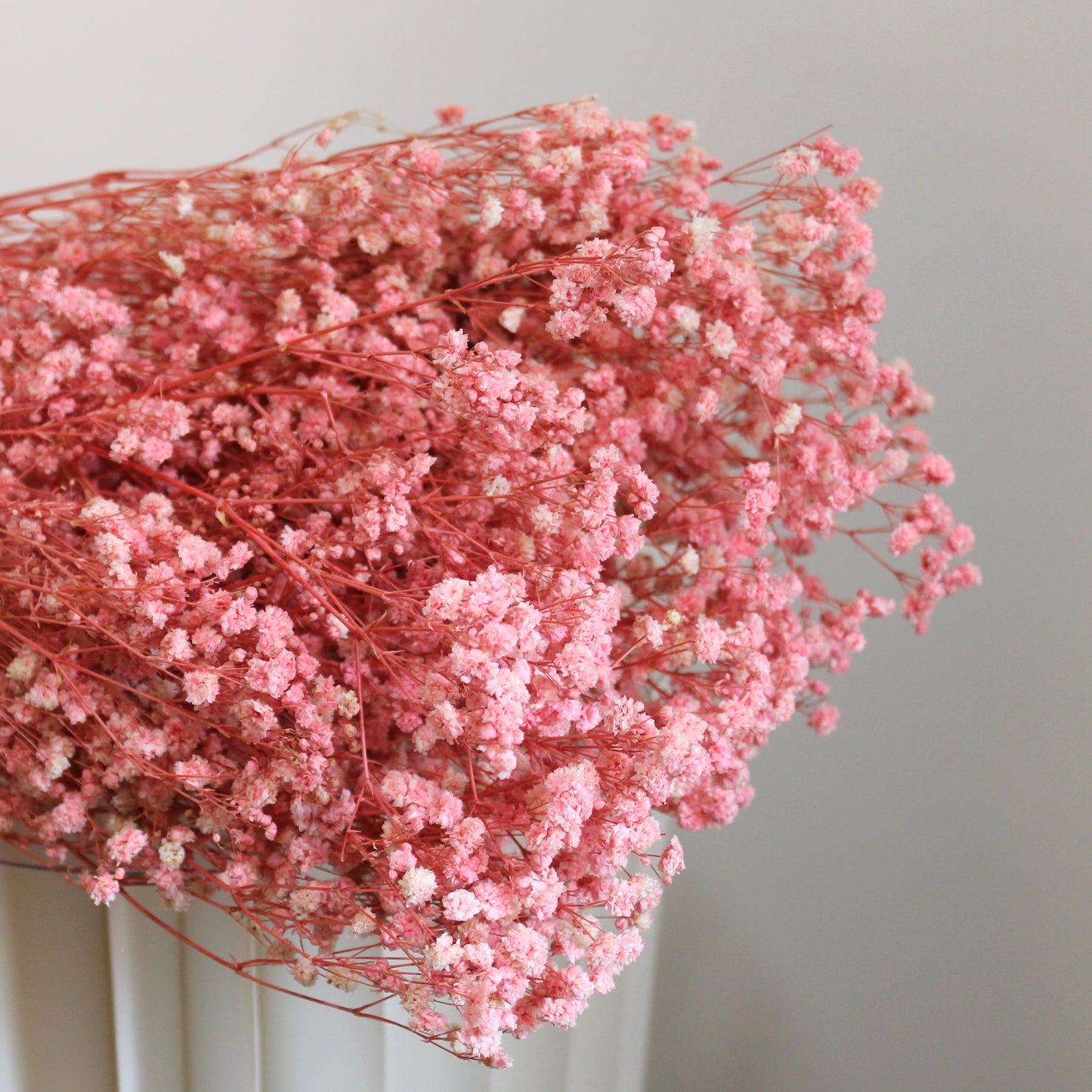 Baby's Breath Pink Dried Flower | Delicate & Romantic Dried Blooms ...