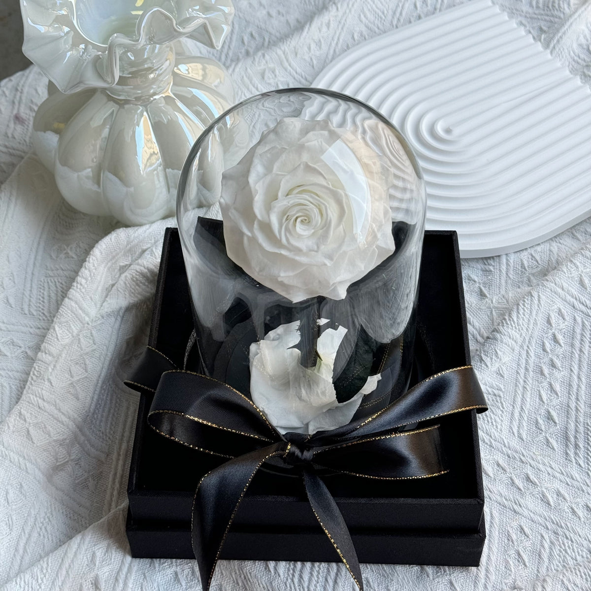 Dome White Roses Small Rosé Dome White Gift Box - Elegant Preserved Rose Gift | Unique ...