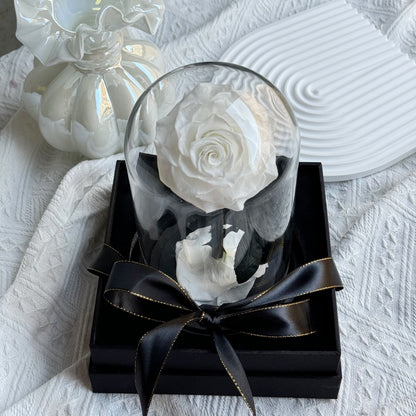 Small Rosé Dome White Gift