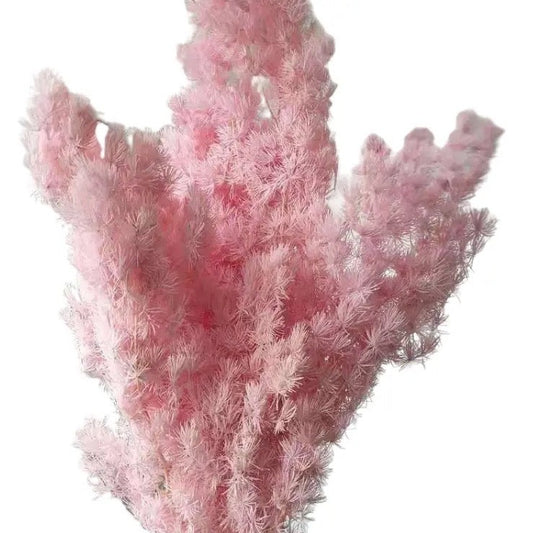 Ming Fern Pink