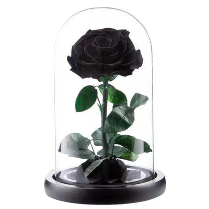 Small Rosé Dome Black