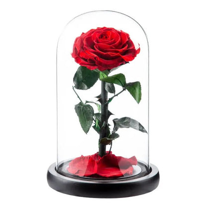 Small Rosé Dome Red Gift