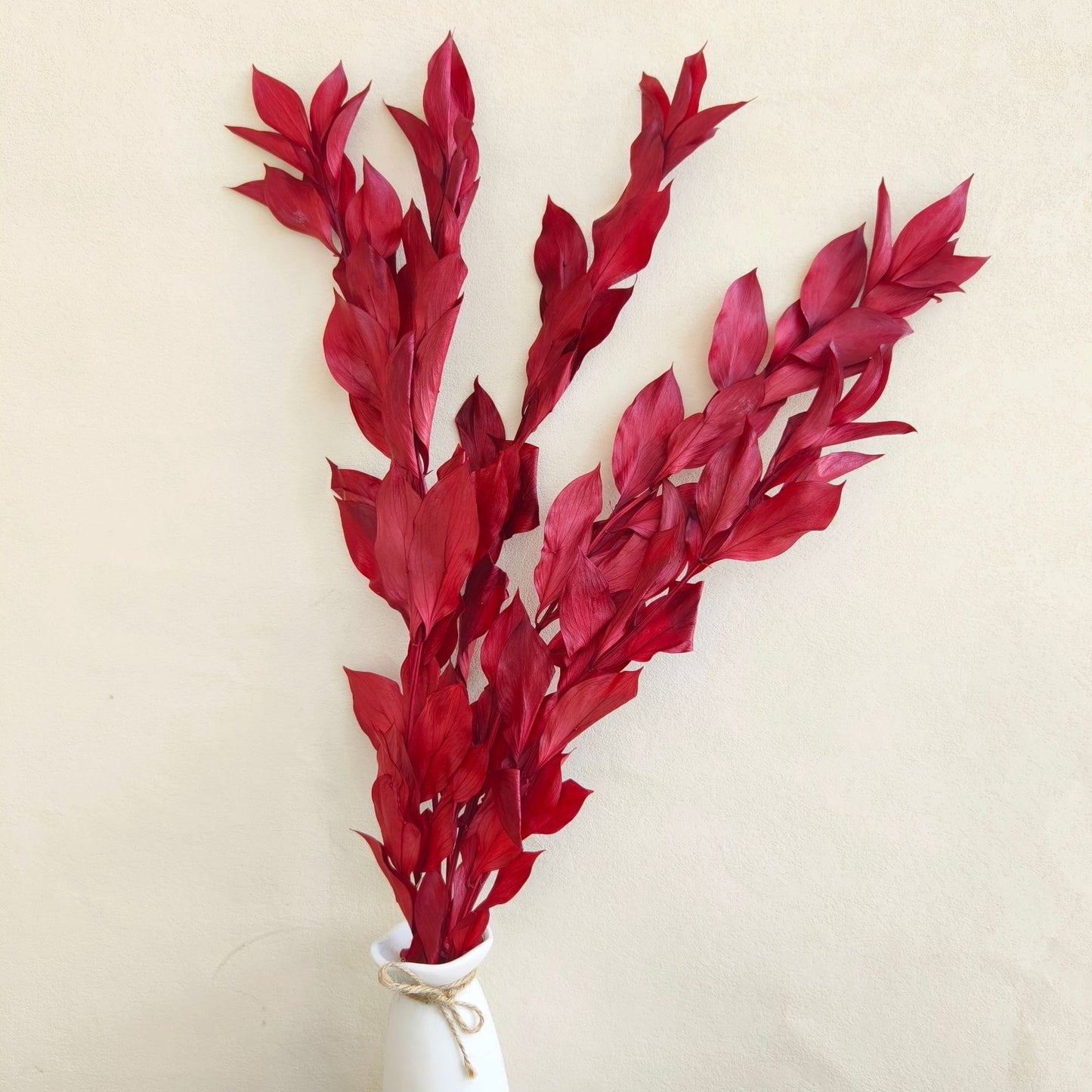 Preserved Ruscus Big Leaf