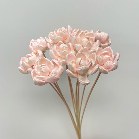 Sola Little Gem Magnolia Flower Pink