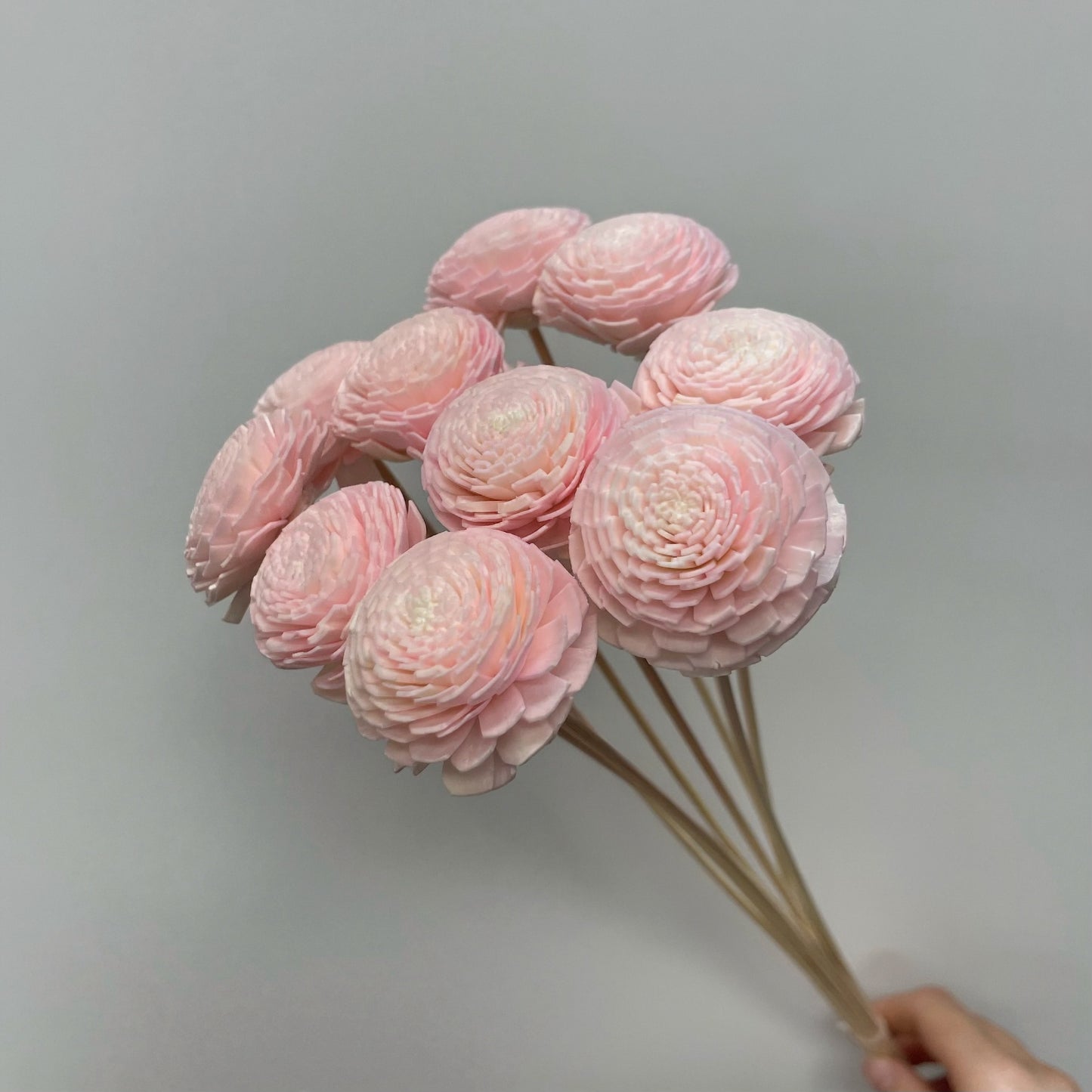Sola Ranunculus Flower Pink