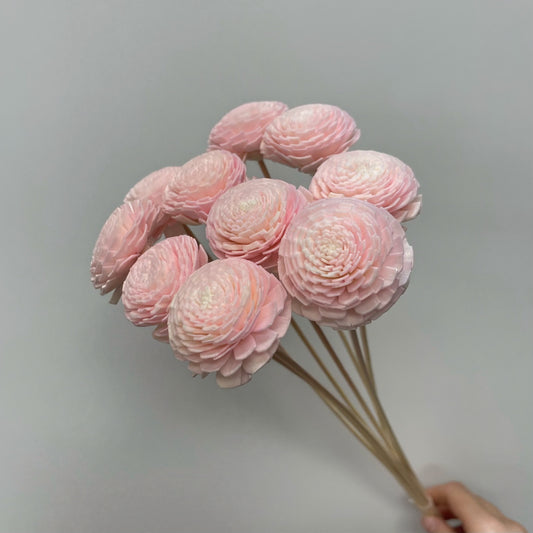 Sola Ranunculus Flower Pink