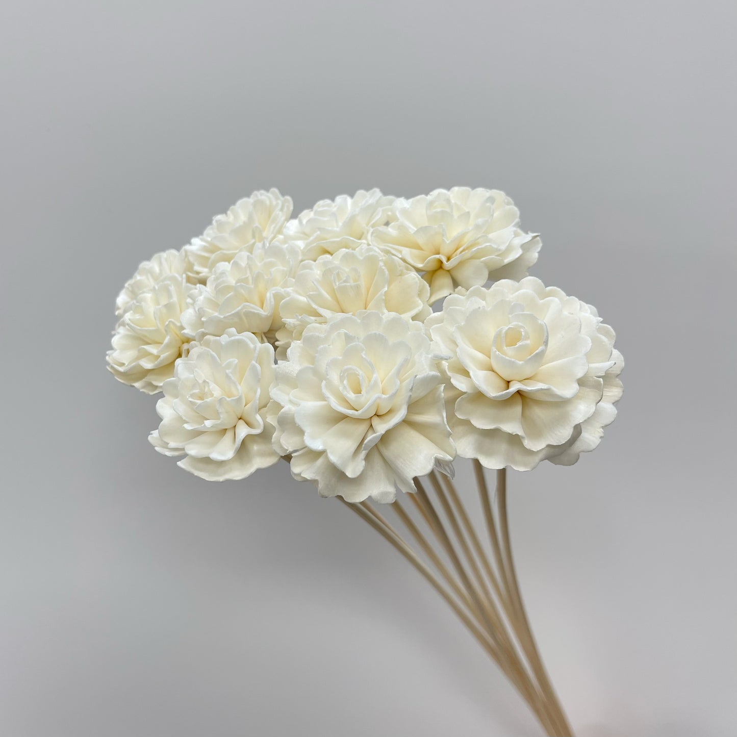 Sola Marigold Flower White