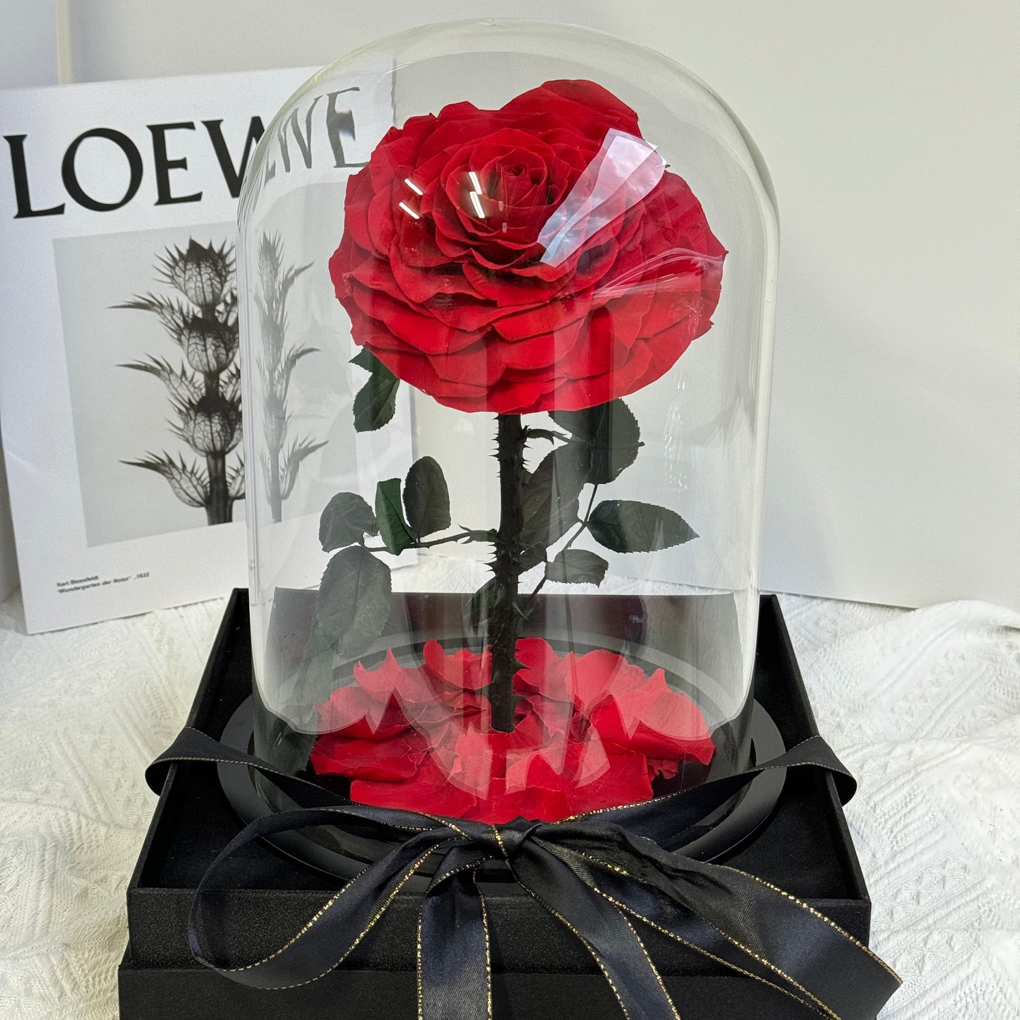 Super Large Rose Dome Red Gift