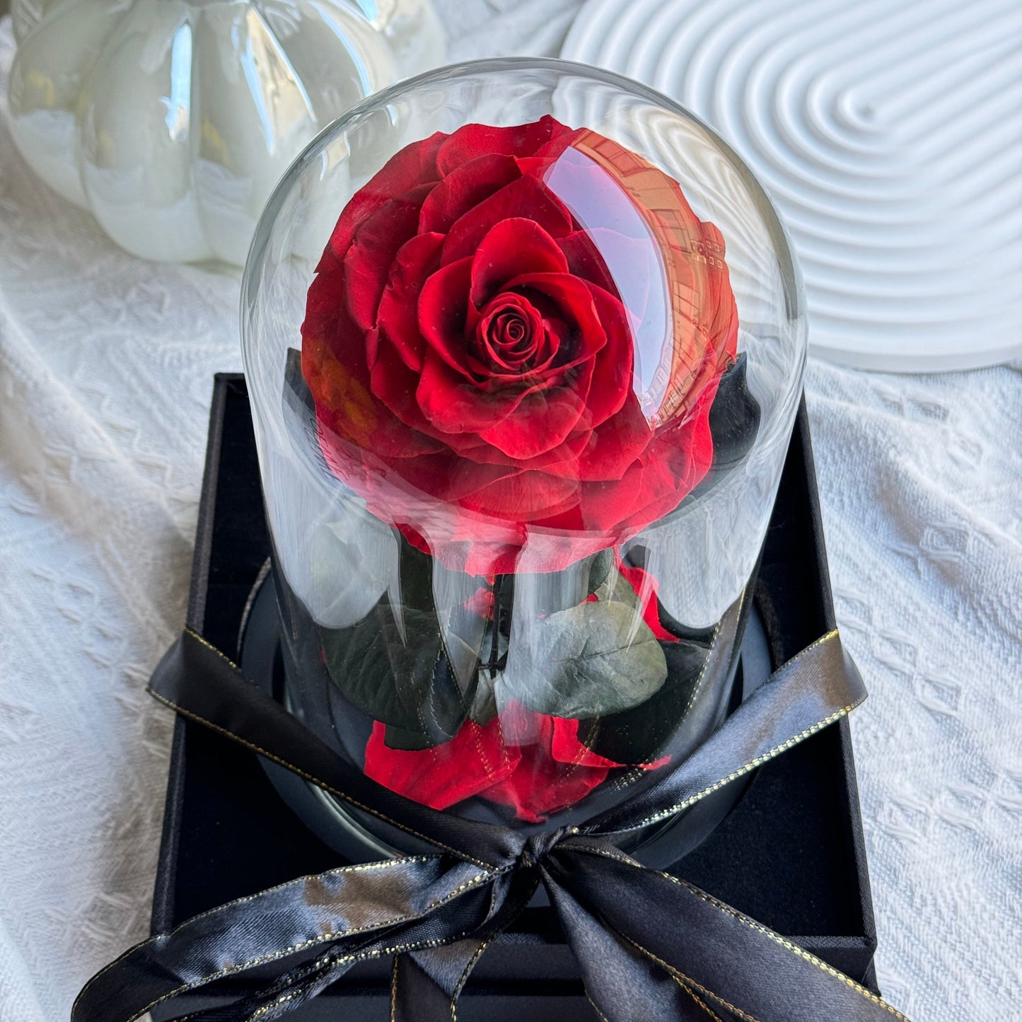 Small Rosé Dome Red Gift