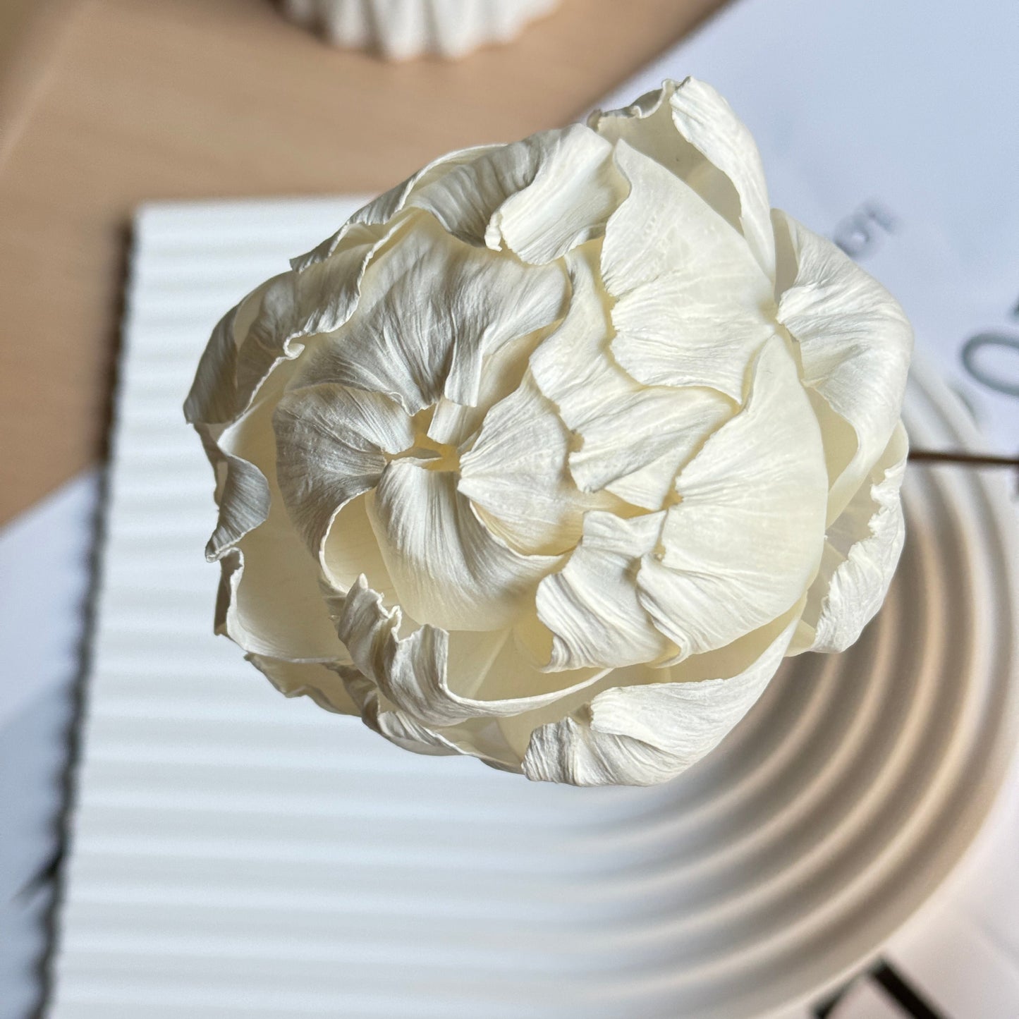 Sola Flower Peony White Dried Flower