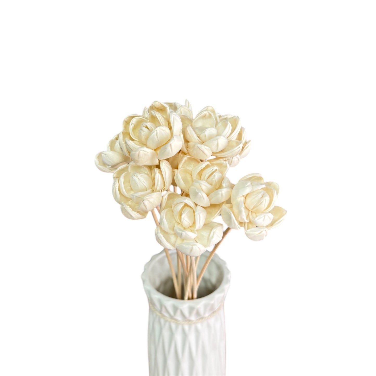 Sola Flower Little Gem Magnolia White Dried Flower