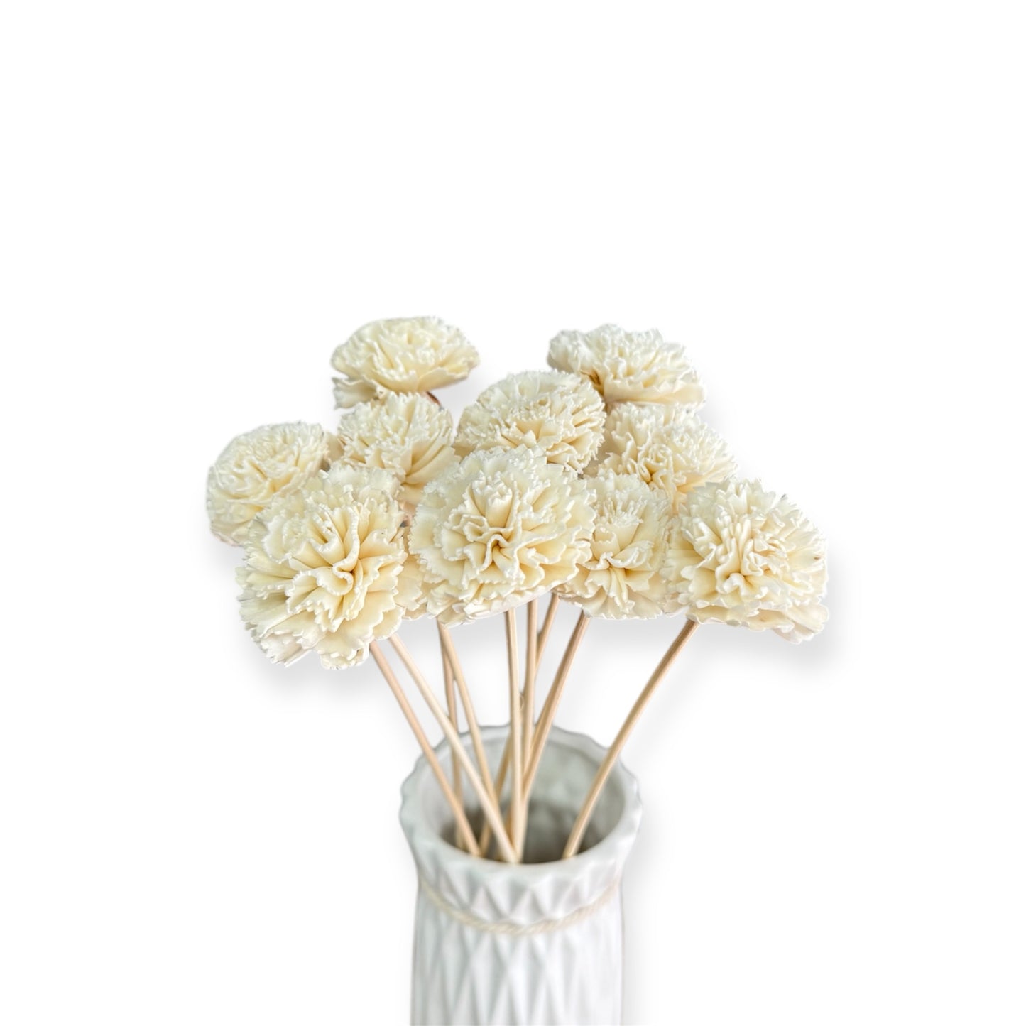 Sola Flower Carnation White Dried Flower