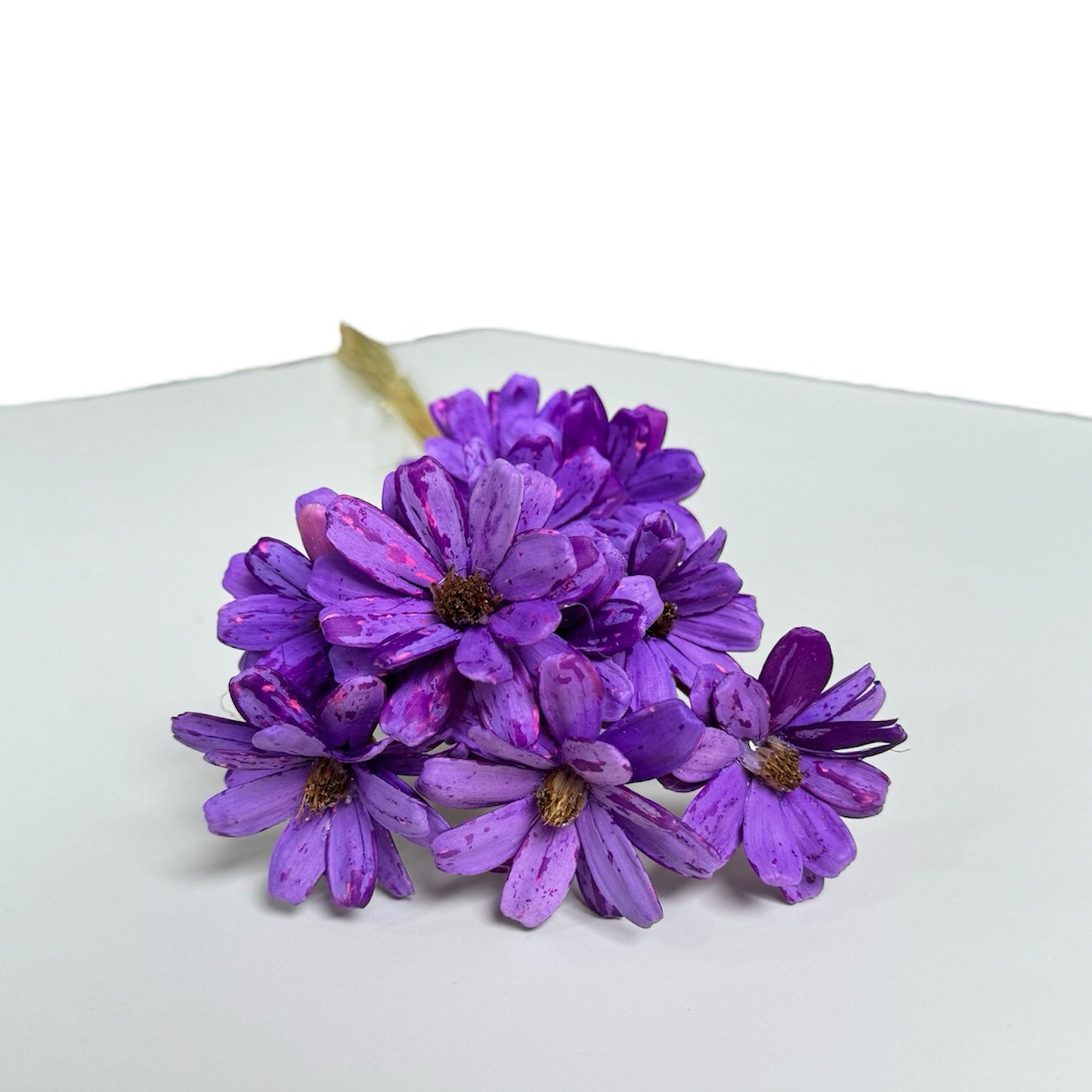 Sola Daisy Purple Dried Flower