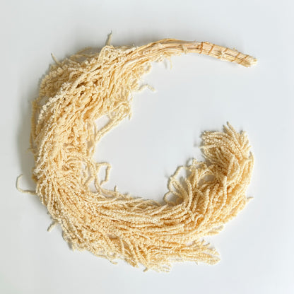 Preserved Amaranthus