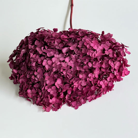 Hydrangea Burgundy Dried Flower