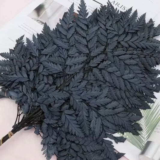 Leather Fern Black