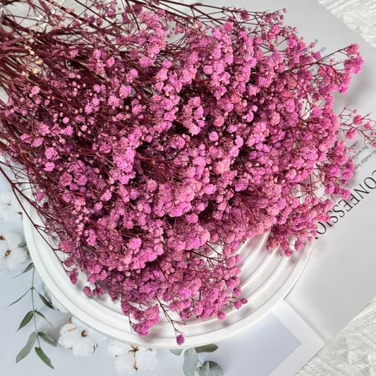 Baby’s Breath Taro Purple