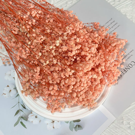 Baby's Breath Peach Pink