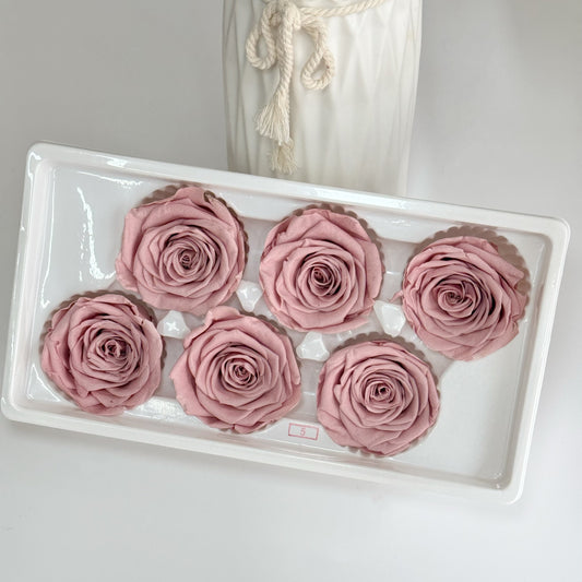 Preserved Roses Dusty Pink