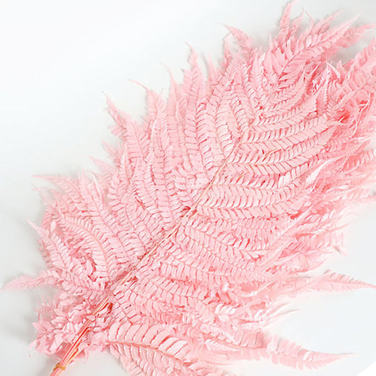 Leather Fern Pink