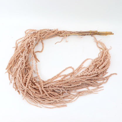Preserved Amaranthus