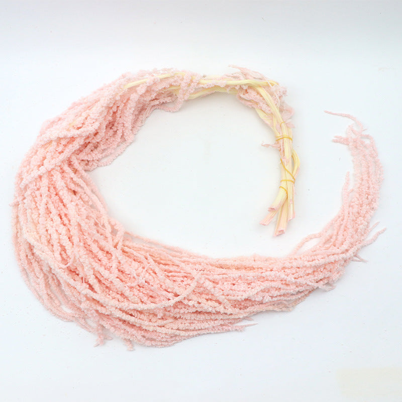 Amaranthus Pink