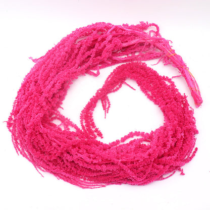 Preserved Amaranthus