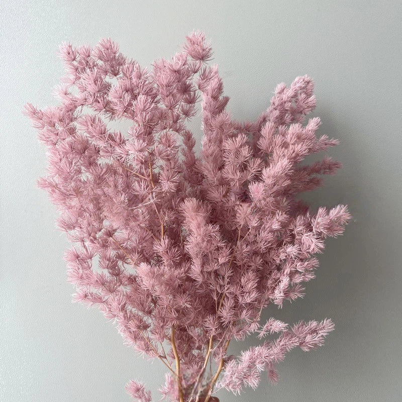 Ming Fern Dusty Pink