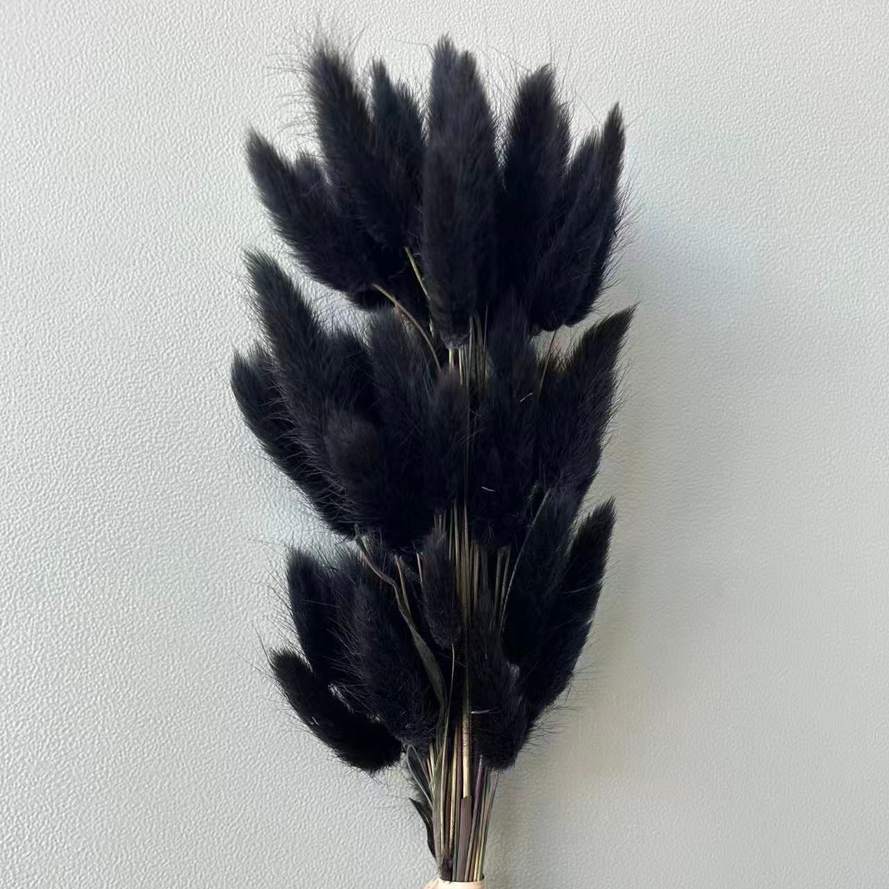 Bunny Tail Black