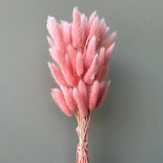 Bunny Tail Coral Pink